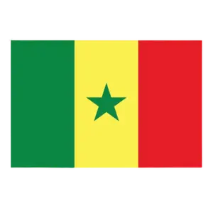 drapeau du senegal